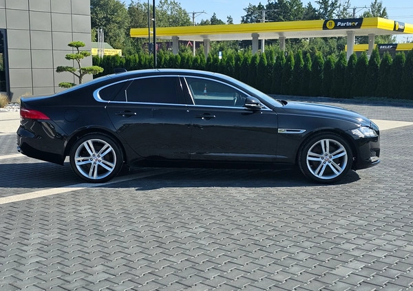 Jaguar XF cena 39900 przebieg: 91101, rok produkcji 2016 z Środa Śląska małe 781